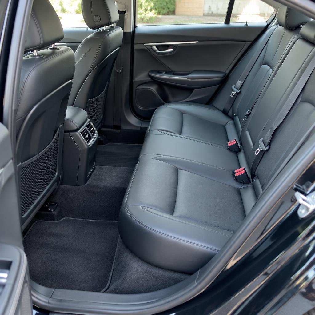 Spotless rear seats and carpets